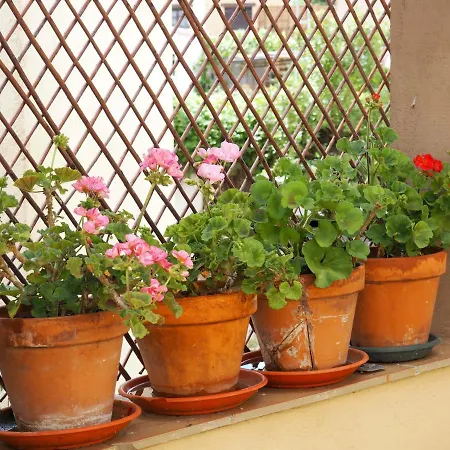 Casa rural Casa De *